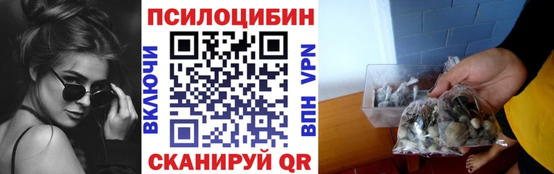Псилоцибиновые грибы Cubensis  Харовск 